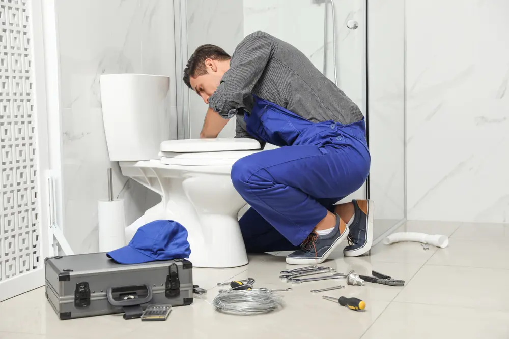 Toilet Installation in Delaware City
